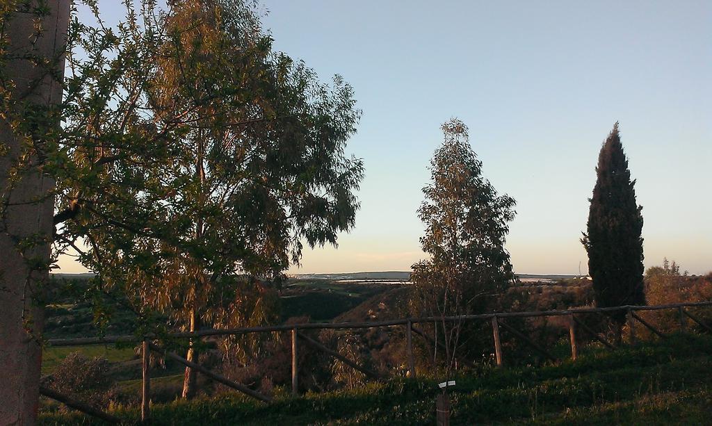 Masseria Strada Agriturismo Джиноза Экстерьер фото