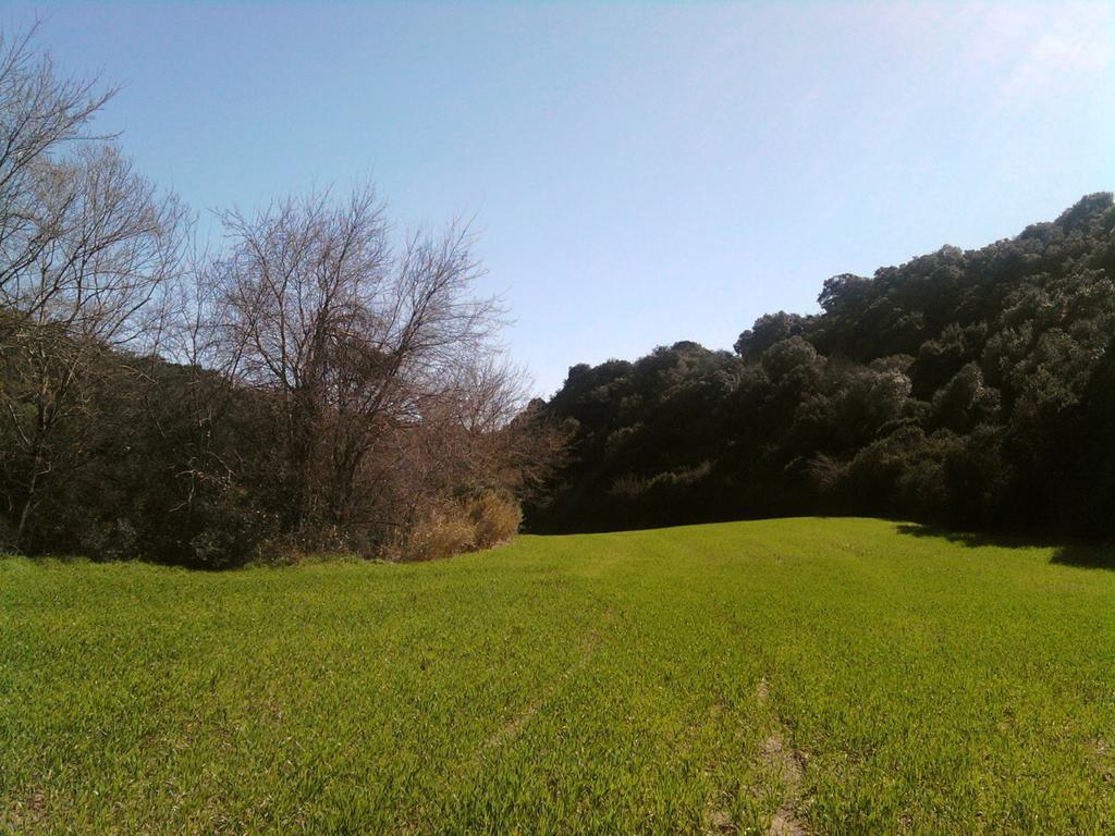 Masseria Strada Agriturismo Джиноза Экстерьер фото